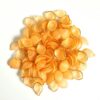 Acrylic Flower Leaves Ultimate - High-Quality Resin Art Material