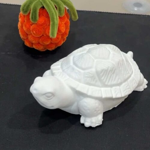 Close-up of large resin turtle mold for creative projects